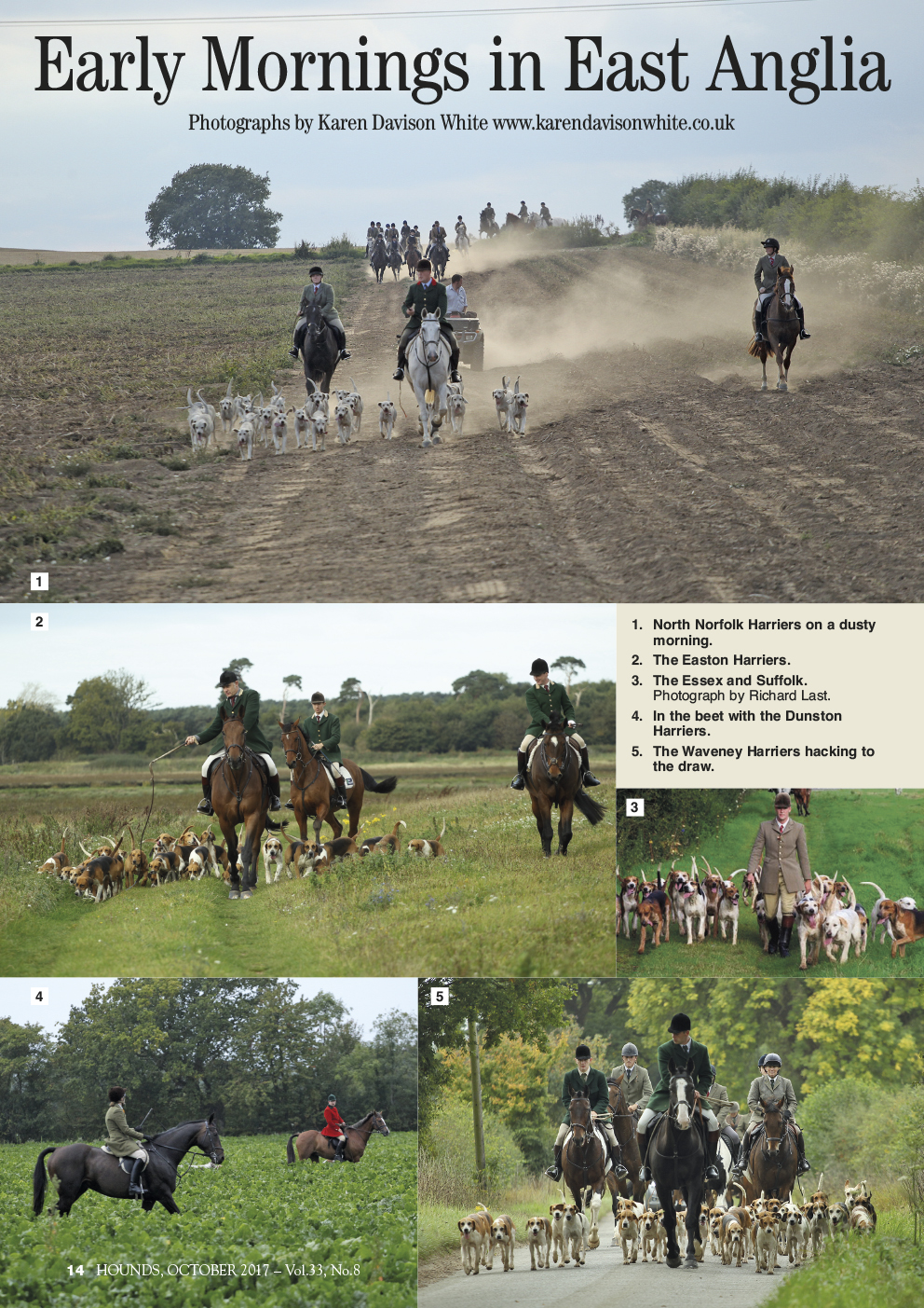 Layout 1